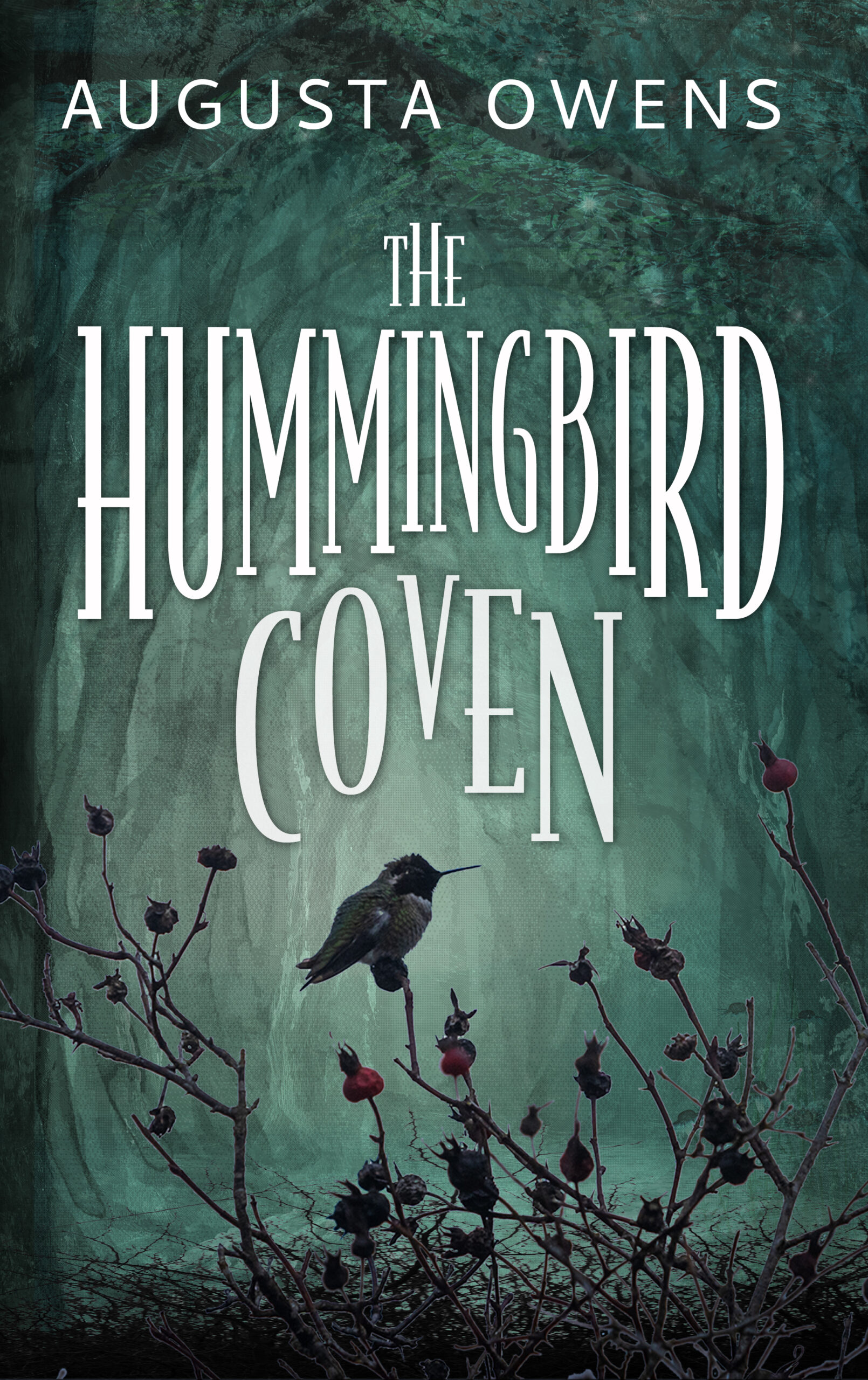 The Hummingbird Coven